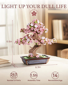 Sakura Bonsai