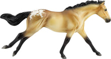 Buckskin Blanket Appaloosa (Discontinued)