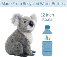 Wild Onez Koala 12"