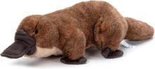 Wild Onez Platypus