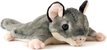 Wild Onez Sugar Glider Wild Life Toy 9"