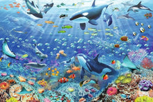 Colorful Underwater World 3000 pc