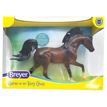 Bay Arabian