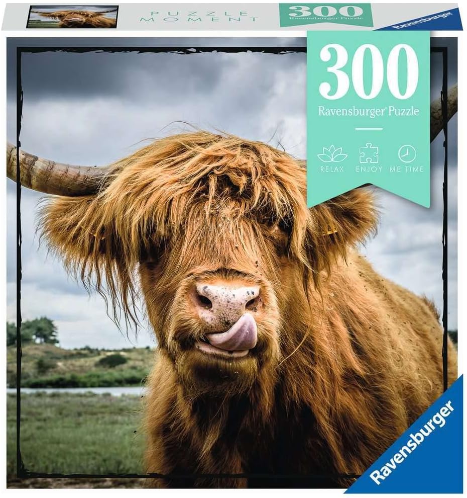 Moments: Highland Cattle 300 pc