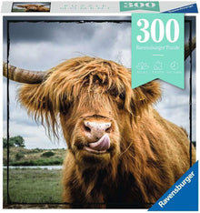 Moments: Highland Cattle 300 pc