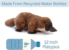 Wild Onez Platypus