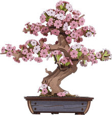Sakura Bonsai