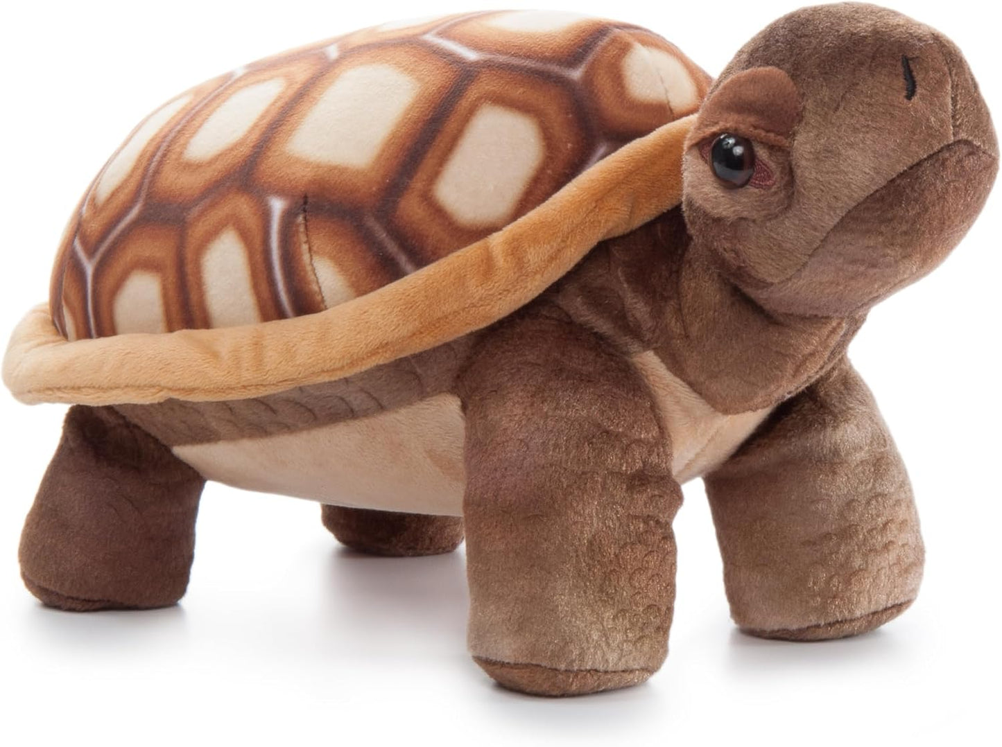 Wild Onez Desert Tortoise
