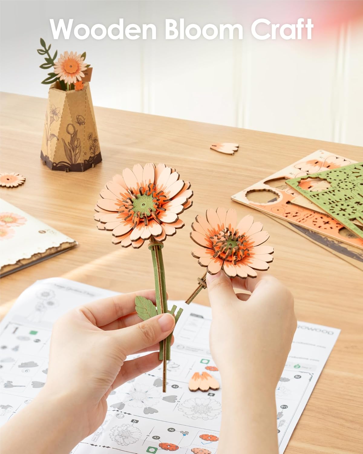 Orange Gerbera Daisy