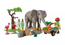 Elephant with Zookeeper (PM-72068)
