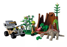 Dino Hideaway (PM-72069)