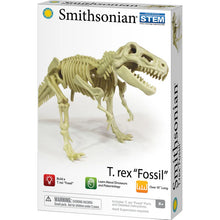Smithsonian Dinosaur Fossil T-rex Value Set