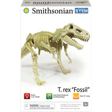 Smithsonian Dinosaur Fossil T-rex Value Set