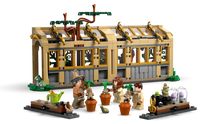 LEGO® Harry Potter™ Hogwarts Castle: Herbology Class (76445)