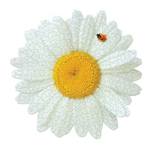 I am Daisy 350pc