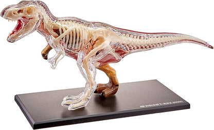 4D T-rex Vision Model