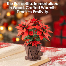 Poinsettia