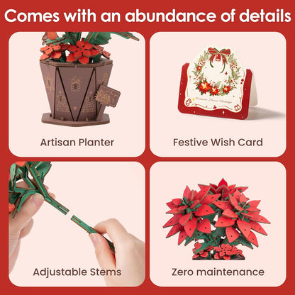 Poinsettia