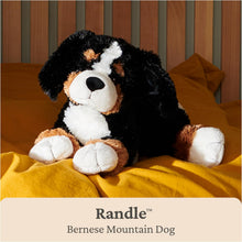 Gund Randle Bernese Mountain Dog 13inch