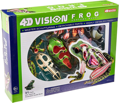 4D Vision Frog Anatomy