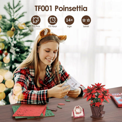 Poinsettia