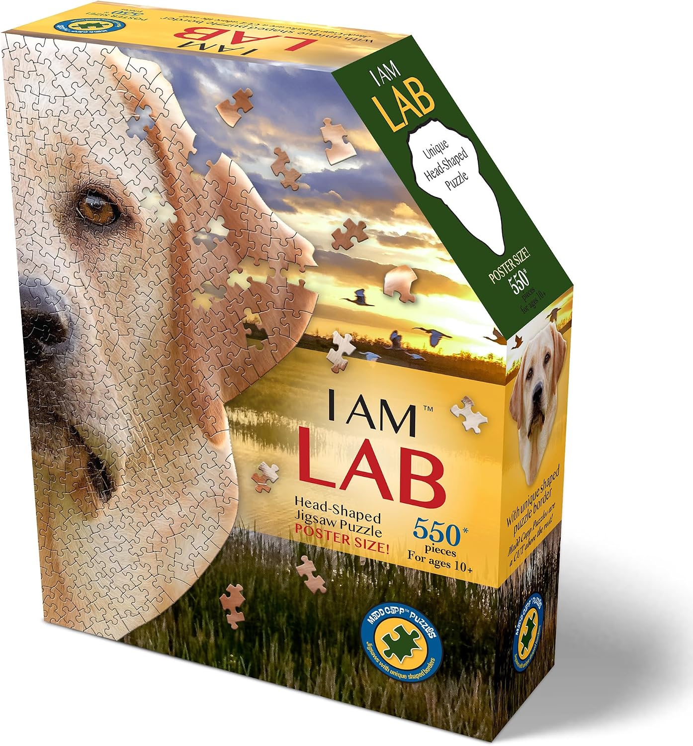 I am Lab 550pc
