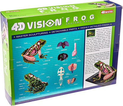 4D Vision Frog Anatomy