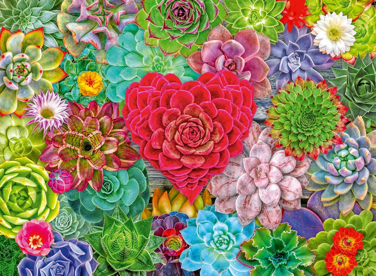 Succulent Love 500 Pc Puzzle