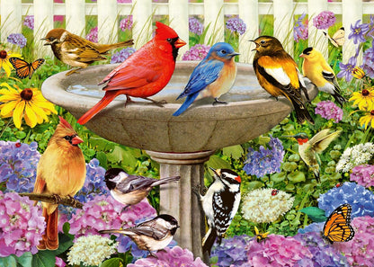 At the Birdbath 500pc Large Format
