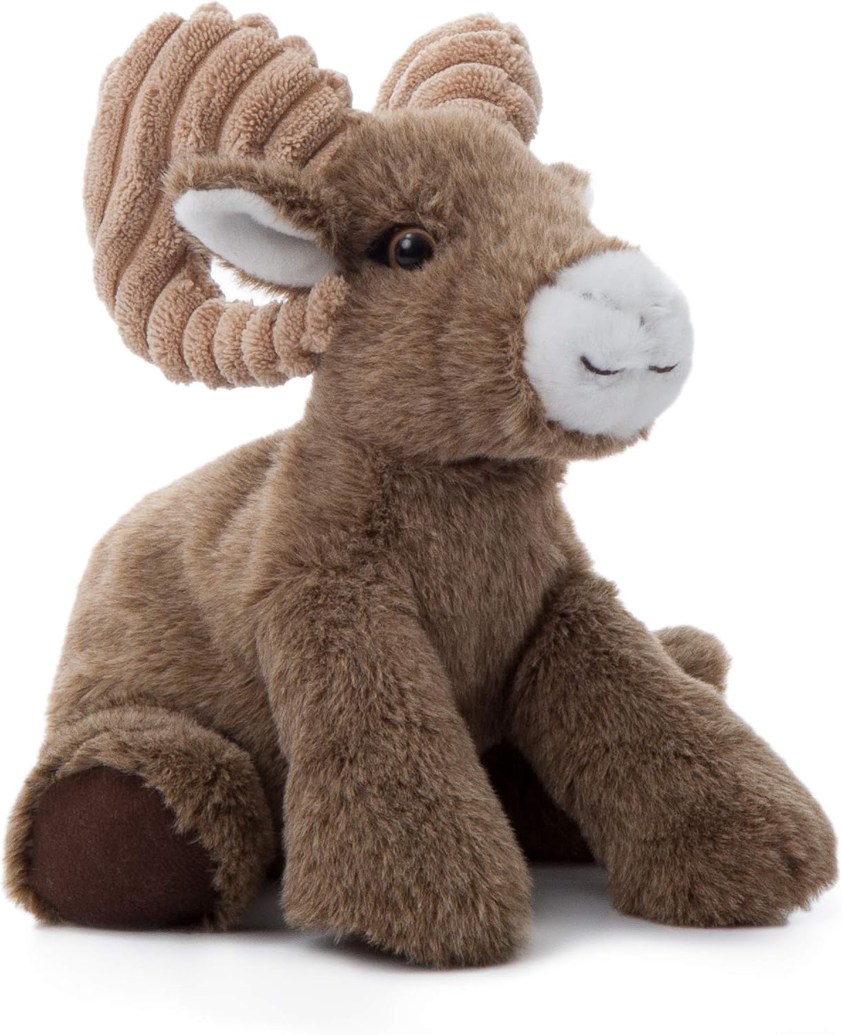 Wild Onez Big Horn Sheep
