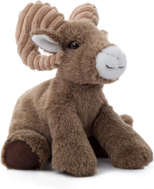 Wild Onez Big Horn Sheep