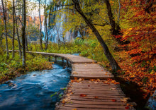 Autumnal Wooden Trail 1000pc Puzzle