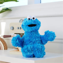 Gund Sesame Street Cookie Monster 12in