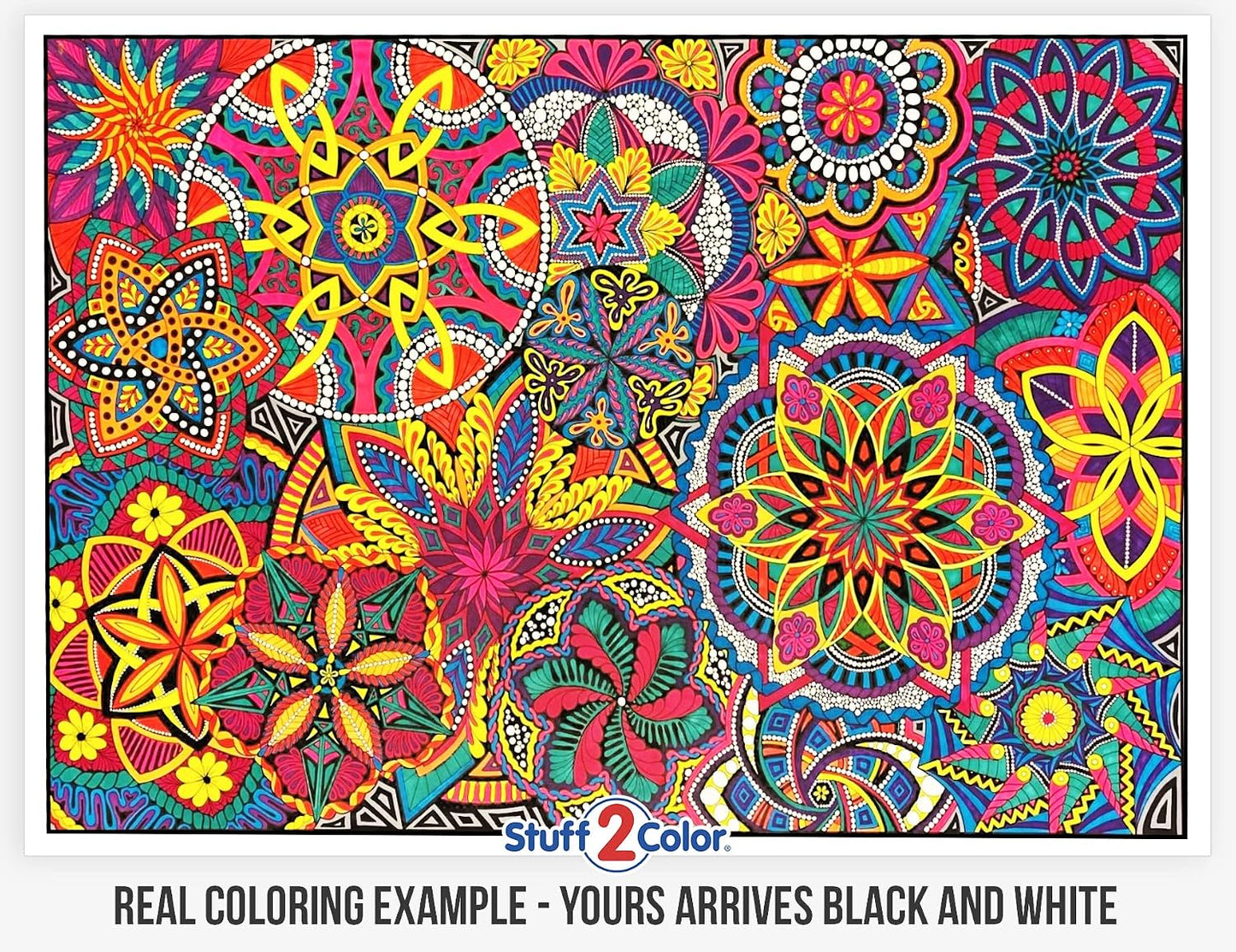 Mandala Madness