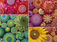 Elspeth McLean: Mandala Blooms 500pc