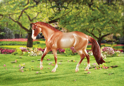 2015 Horse of the Year - Liam Strawberry Roan Quarter Horse