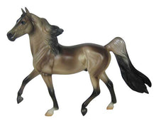 Grullo Morgan (Discontinued)