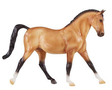 Buckskin Hanoverian (Discontinued)