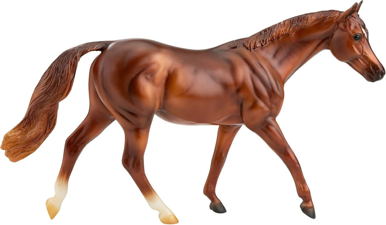 Coppery Chestnut Thoroughbred