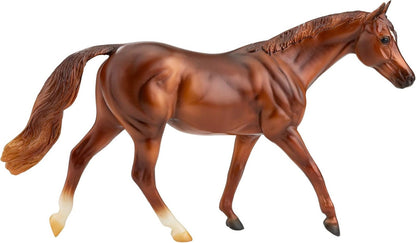 Coppery Chestnut Thoroughbred
