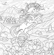 Adult Coloring Book Enchanted Kingdom