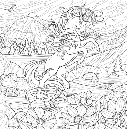 Adult Coloring Book Enchanted Kingdom