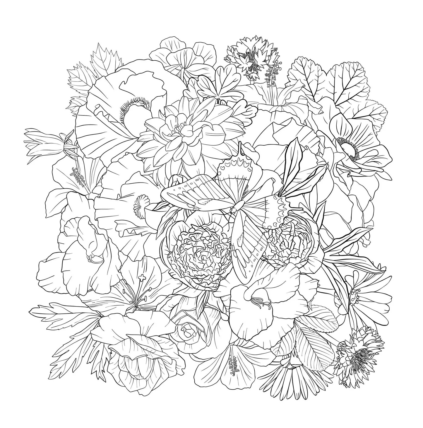 Adult Coloring Book Wildflowers