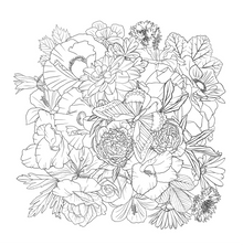 Adult Coloring Book Wildflowers