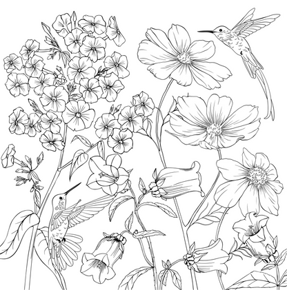 Adult Coloring Book Wildflowers