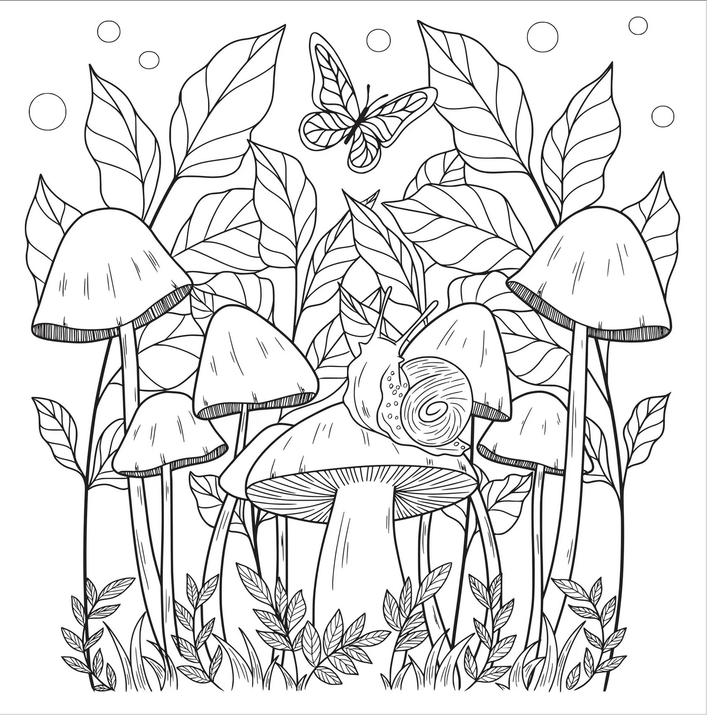 Mushrooms Adult Coloring Book