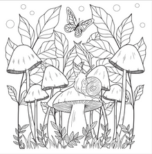 Mushrooms Adult Coloring Book