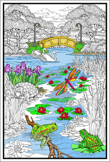 Pond in the Park