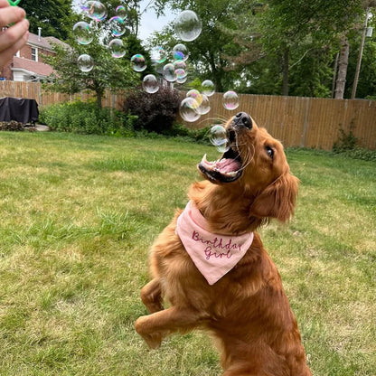 Peanut Butter Swirl Bubbles