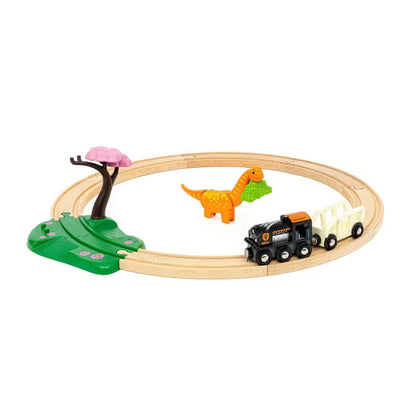 Dinosaur Circle Set